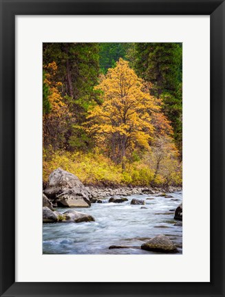 Framed Autumn Across The River Print