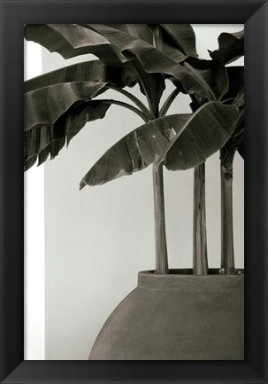 Framed Banana Trees Print