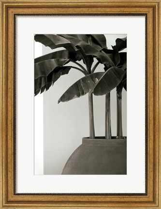 Framed Banana Trees Print