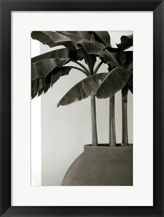 Framed Banana Trees Print