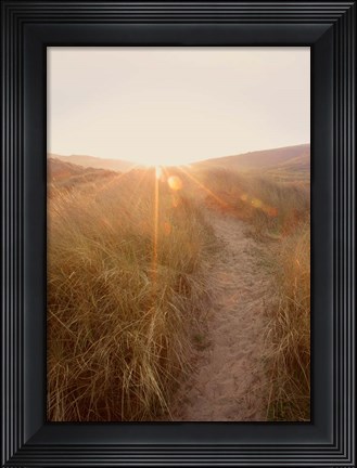 Framed Dunes with Seagulls 4 Print