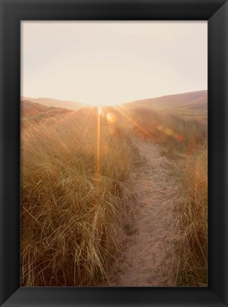 Framed Dunes with Seagulls 4 Print