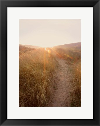 Framed Dunes with Seagulls 4 Print