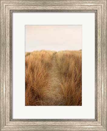 Framed Dunes with Seagulls 6 Print