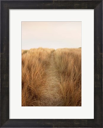 Framed Dunes with Seagulls 6 Print