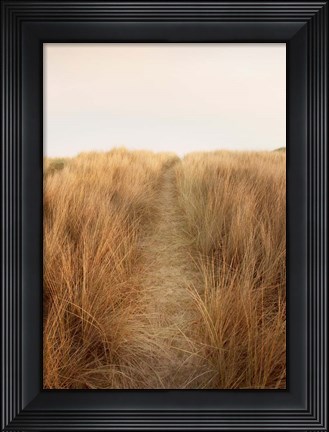Framed Dunes with Seagulls 6 Print
