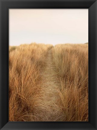 Framed Dunes with Seagulls 6 Print