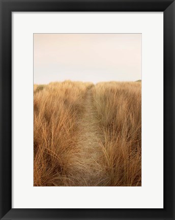 Framed Dunes with Seagulls 6 Print