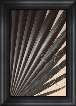 Framed Fan Palm Detail 2 Print