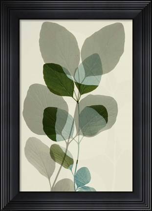 Framed Green Leaves 10 Print
