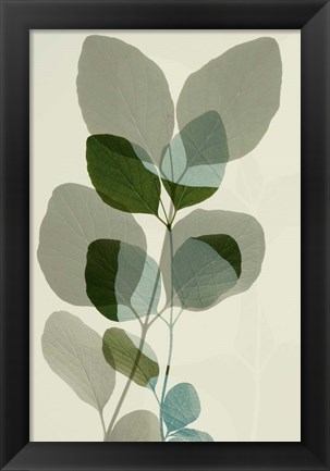 Framed Green Leaves 10 Print