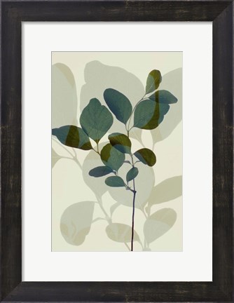 Framed Green Leaves 7 Print