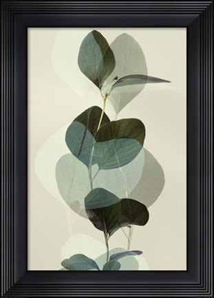 Framed Green Leaves 8 Print