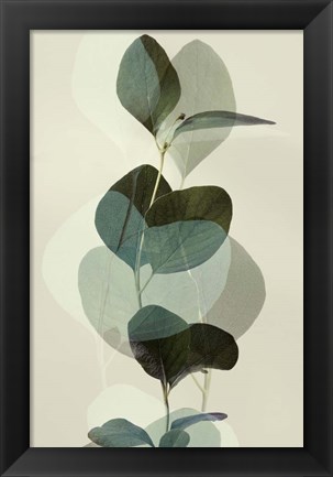 Framed Green Leaves 8 Print