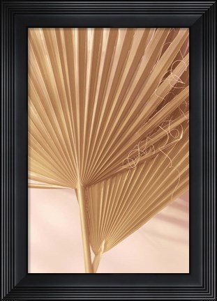 Framed Pastel Fan 1 Print