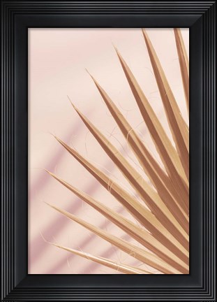 Framed Pastel Fan 4 Print