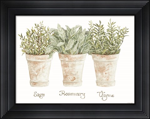Framed Herb Trio Print