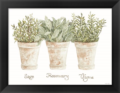 Framed Herb Trio Print
