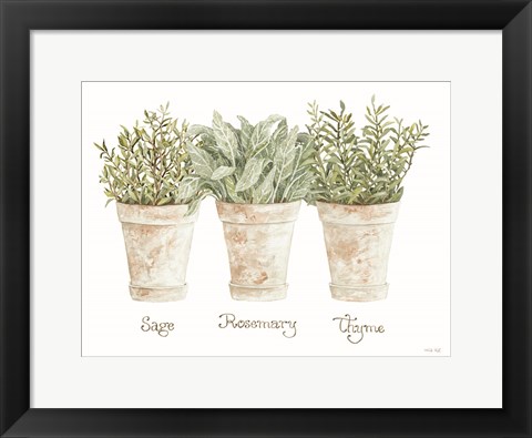 Framed Herb Trio Print