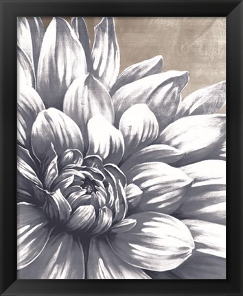 Framed Charming Floral I Print