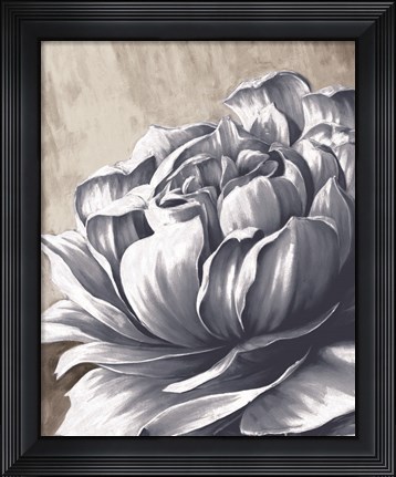 Framed Charming Floral II Print