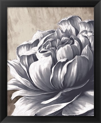 Framed Charming Floral II Print