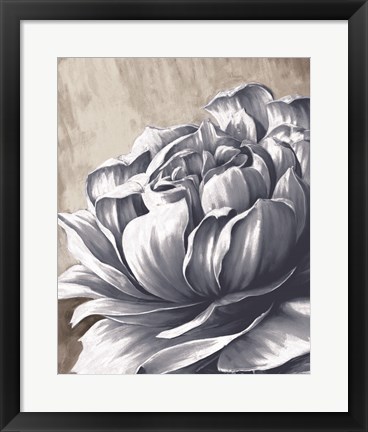 Framed Charming Floral II Print