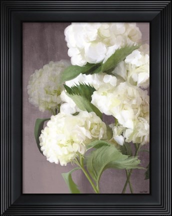 Framed Snow Hydrangeas Print