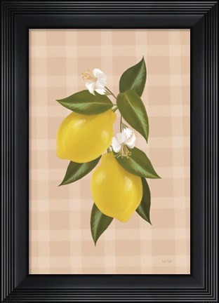 Framed Lemon Botanical II Print