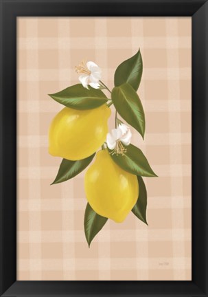 Framed Lemon Botanical II Print