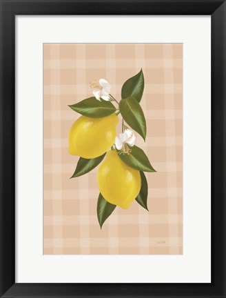 Framed Lemon Botanical II Print