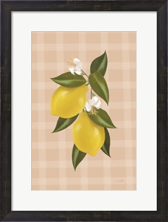 Framed Lemon Botanical II Print