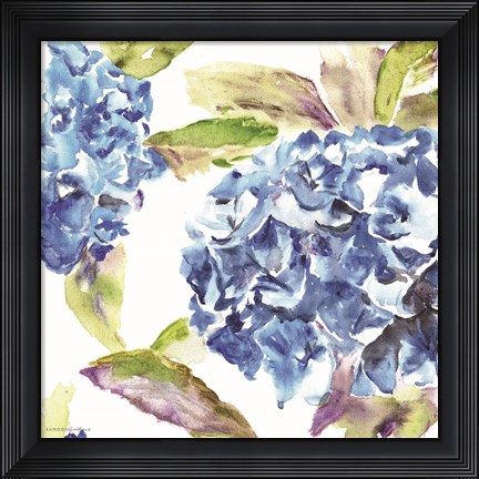 Framed Hydrangea Print