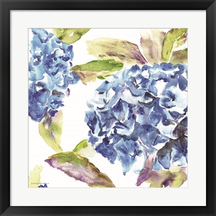 Framed Hydrangea Print