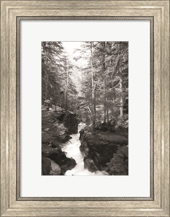 Framed Avalanche Trail Print