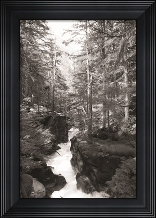 Framed Avalanche Trail Print