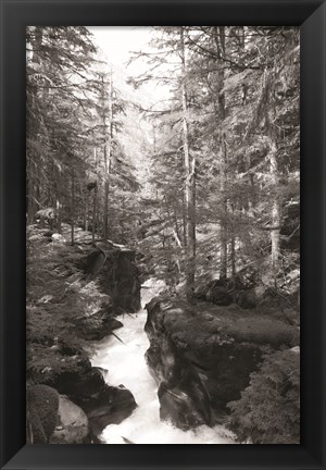 Framed Avalanche Trail Print