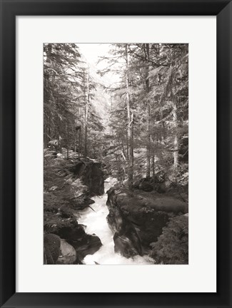 Framed Avalanche Trail Print
