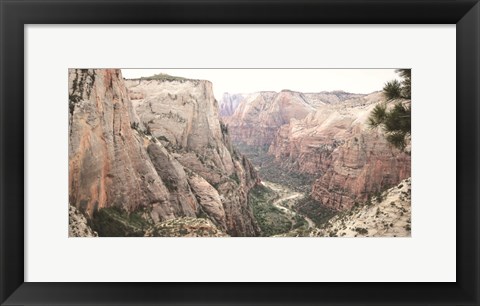 Framed Zion from Above Print