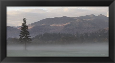 Framed Adirondack Misty Morning Print