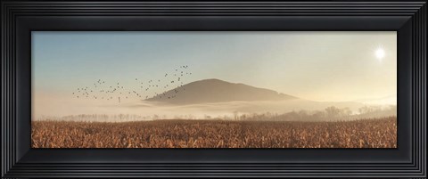 Framed Rakers Mill Road Sunrise Print