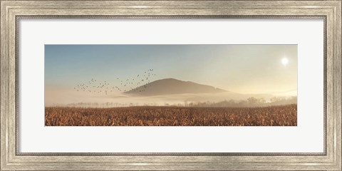Framed Rakers Mill Road Sunrise Print