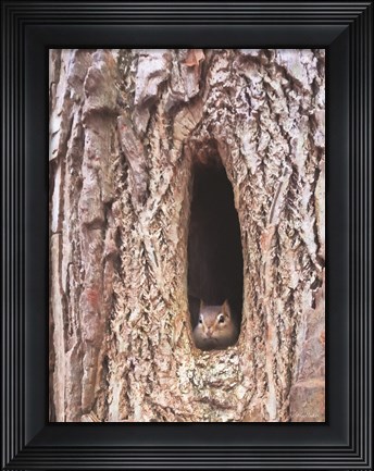 Framed Is It Spring Yet? Print