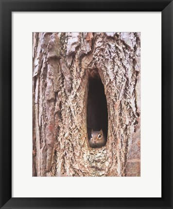 Framed Is It Spring Yet? Print