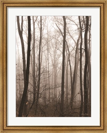 Framed Emptiness Print