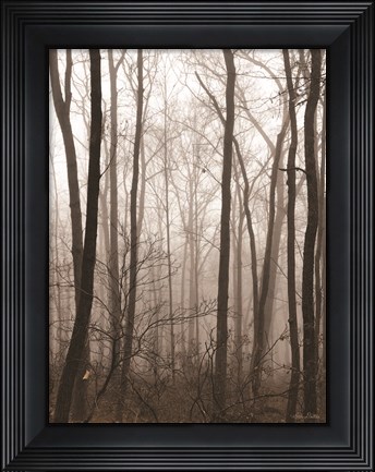 Framed Emptiness Print