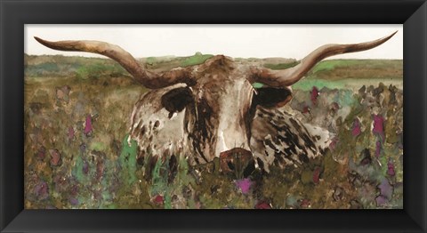 Framed Texas Longhorn in Field Print