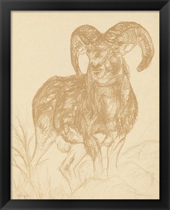 Framed Big Horn Sketch Print