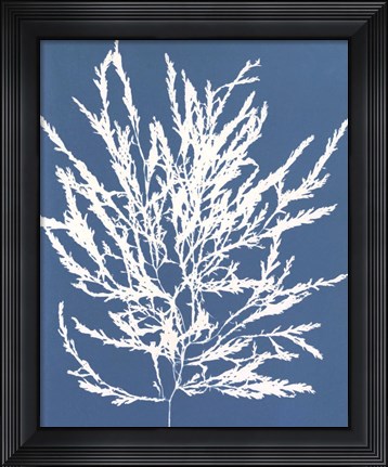 Framed Blue Botanical I Print