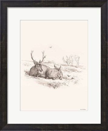 Framed Reindeer Chilling Print